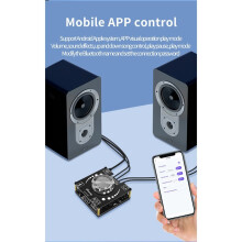 Carte D'Amplificateur Stéréo 5.1 100 W + 100 W avec Entrée Auxiliaire et Port USB, Carte Son, Amplificateur de Puissance Numérique,