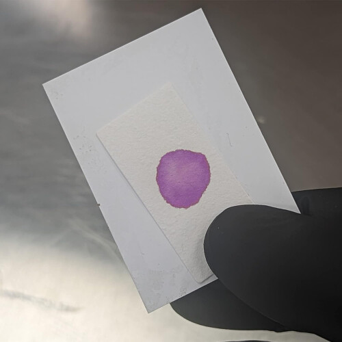 Semen Detection Test, Single Pack 2