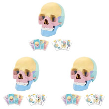 3X Anatomy Skull Model, Human Anatomy Skull Puzzle, Detachable Human Skull Model, Clinic Teaching