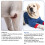 Pet Front Leg Elbow Support Vests for Comfort and Durability-XL 6