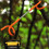 S-Shape 2-Way Tent Light Hook 26x5.5x4.5 cm Color 9