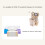 Stable Car Tissue Holder and Trash Bin Secure Strap Nonslip for 4