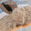 Stable Car Tissue Holder and Trash Bin Secure Strap Nonslip for 5