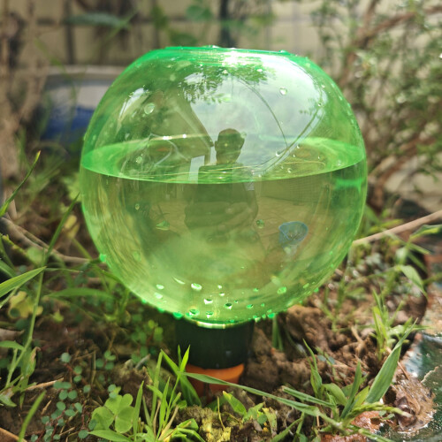 6Pcs Plant Watering Globes Automatic Watering-Pink bubble model 2