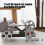 Assembly Metal Stirling Engine Model For Classroom Teaching 4