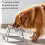Bol d'alimentation pour animaux de compagnie, mangeoire 3