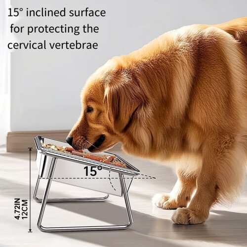 Bol d'alimentation pour animaux de compagnie, mangeoire 2
