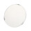 Photo Lamp Diffuser Scratch Resistant Matte Finish Diffusion 7