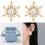 2Pcs Ice Flower Shaped Earbuds Attachment For FreeClip 1-Silver 3