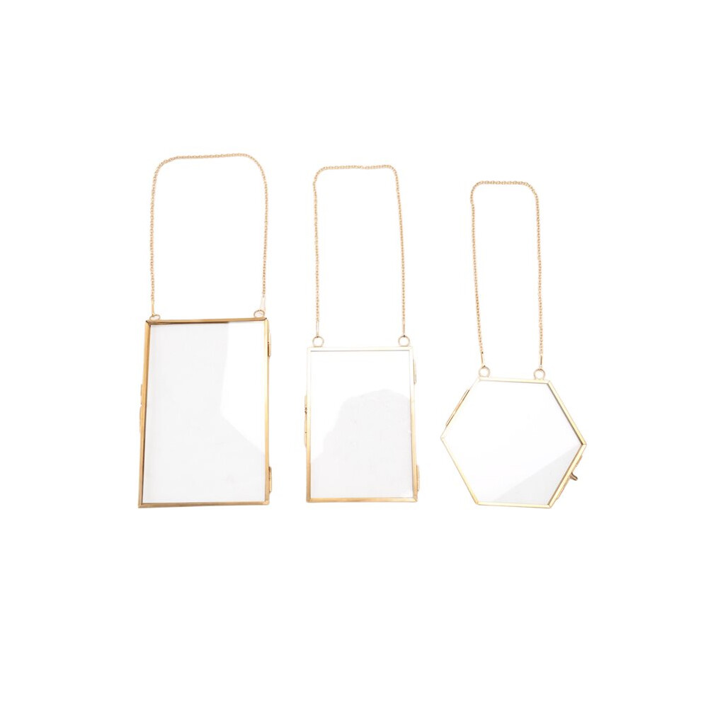 3 Packs Pressed Flowers Glass Frames- Hanging Glass Picture Frames With Chain Floating Diy Artwork Display Frames Golden 6031203076732