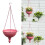 Artistic Iron Wall Mounted Planter Semi Circular Design-Green 3