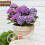 Blumenständer, Haus, Hof, Garten, Dekoration,-Grün 7
