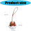 Creatieve Husky PU lederen sleutelhanger Modieus-Grijs 4