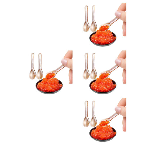 12Pcs Small Shell Spoons Multi-Use for Soup Dessert and Caviar Serving