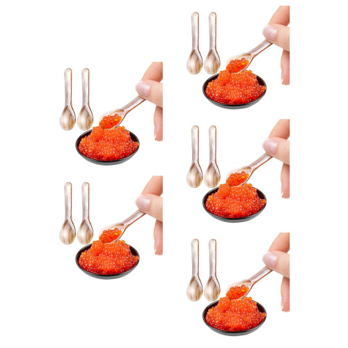 15Pcs Shell Spoons Assorted Color Small Dessert Soup Spoons for Home