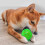 Hundespielzeug, elastischer Kauball mit Spikes und 2