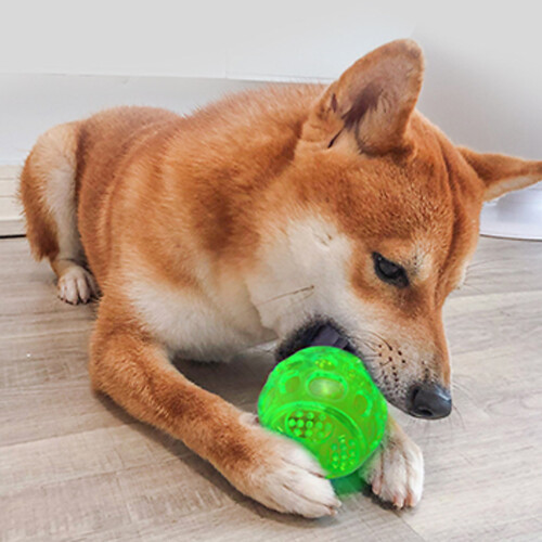 Hundespielzeug, elastischer Kauball mit Spikes und 1