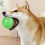 Hundespielzeug, elastischer Kauball mit Spikes und 4