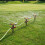 Efficient Garden Sprinkler With Various Direction-Light Grey 7