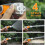 Dense Yet Powerful Hose Nozzle With Comfortable Shape And 4 4