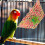 3Pcs Bird Bite Toy Hanging Parrot Toy for Cage Use 2