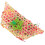 3Pcs Bird Bite Toy Hanging Parrot Toy for Cage Use 3