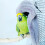 2Pcs Warm Plush Parrot Sleeping Nest Cozy Bird Bed Cage Blanket 8