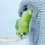 2 Pieces Bird Blanket Winter Warm Nest Bed Sleeping Parrot Hideaway 3