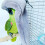 2Pcs Light Grey Bird Corner Blanket Soft Plush Cage Warm Nest 9