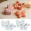 Creative Butterfly Knot Resin Casting Mold Display-Section B 3