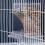 Hanging Automatic Bird Feeder Anti Spill Durable Plastic Easy to 6
