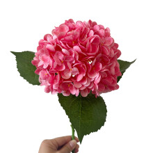 Realistische Simulation einer Hortensienblume aus-Dunkelrosa