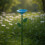 Durability Iron Garden Stakes Bird Feeder and Waterer-Blue 6