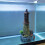 Unique Waterproof Aquariums Decoration Durability Resins 4