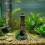 Unique Waterproof Aquariums Decoration Durability Resins 7