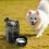 Large Capacity 103Oz Dog Drinking Vessel With Inner Bowl For 5