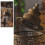 Moroccans Lantern Ornate Candle Lantern Decorative Candle-A3408 6