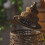 Moroccans Lantern Ornate Candle Lantern Decorative Candle-A3408 7