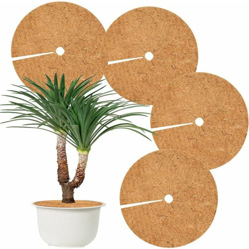 Βιολογικός Δακτύλιος Δέντρου με Αισθητική, Οικολογικό Εδαφικό Στρώμα από Καρύδα
