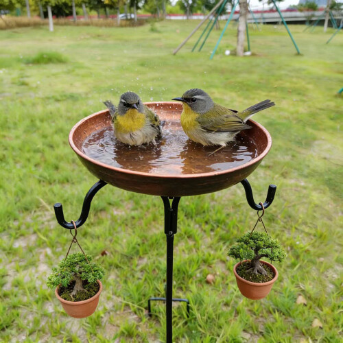 Mangeoire pour bain d'oiseaux en fer forgé, Station-1 2