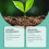 Nutrient Rich Plant Fertilizers 22 Tablets In Convenient Plastic 4