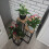 Stående blomsterställ 67cm Ruhhy 25626 8