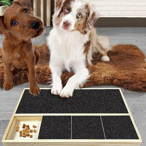 Kratztrainingsgerät für Hunde mit integriertem Leckerlispender 1