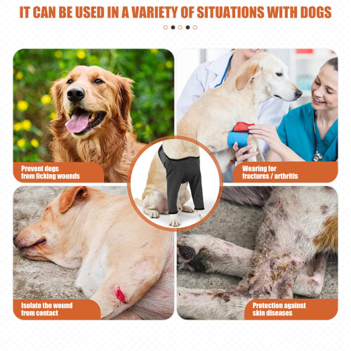 Elastische Hunde-Knieschoner-Ellbogenschützer zur-XL 2