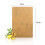 Ginger Joint Tendon Sheath Patch Black Plaster Self-heating Patch 3
