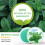 Peppermint Cream Cooling Oil Anti-itch Refreshing Cream 4