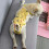 Couches en coton robustes pour chiens en-S poisson jaune 5