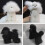 Pet Grooming Training Haarschoonheidsspecialiste-Bichon-model 5