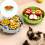 Multifunctionele hondenschotel Slow Feeder-Windmolen Slow Food B 3