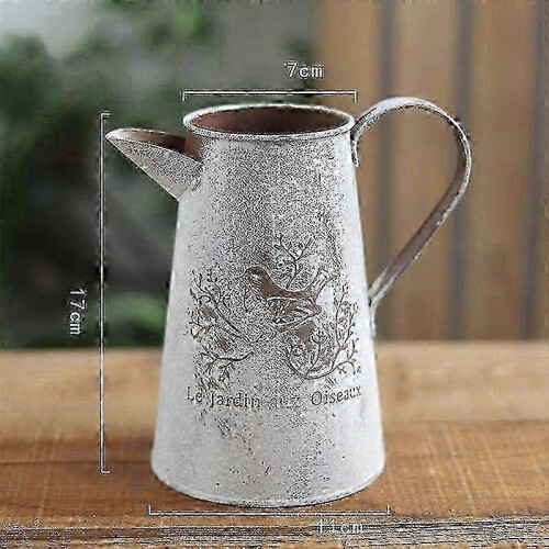 Iron Watering Can for Garden Flower Decoration 1